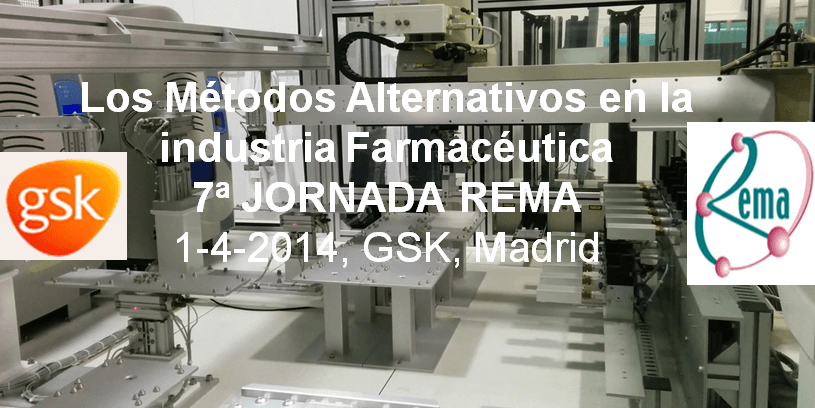 7ª Jornada REMA