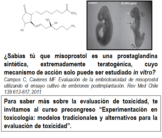 Experimentación en toxicología: Modelos tradicionales y alternativos para la evaluación de toxicidad